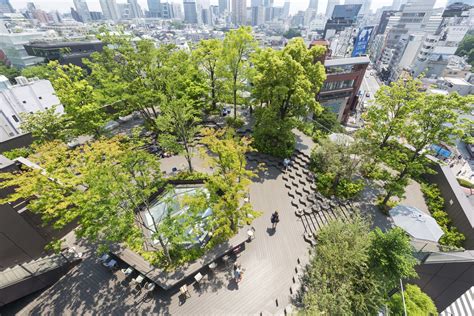 大きい公園 東京: 都市の緑と人々の憩いの場