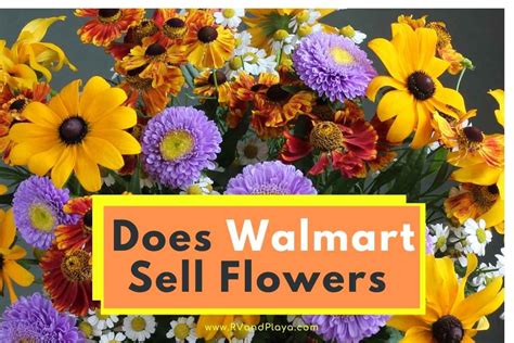 Does Walmart Sell Flowers Year Round? And Why Do Flowers Smell Like Forgotten Memories?