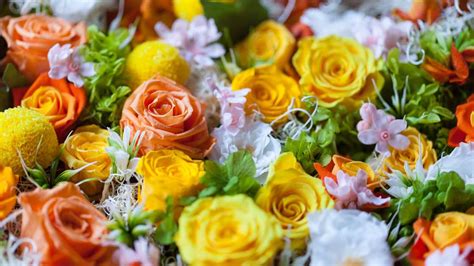 How to Preserve Fresh Flowers Permanently: A Journey Through Time and Imagination