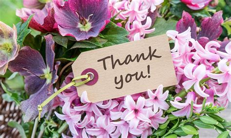 How to Say Thank You for Flowers: A Symphony of Gratitude and Whimsy