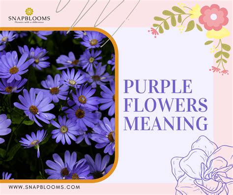 What Does Purple Flowers Mean: A Kaleidoscope of Interpretations