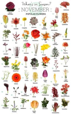 What Flowers Are in Season in November: A Journey Through Autumn's Palette and the Mysteries of Time