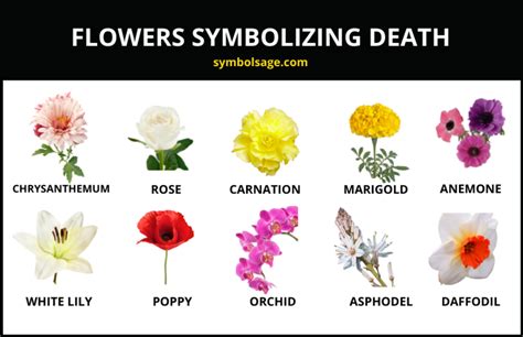 What Flowers Symbolize Death: A Journey Through Floral Metaphors and Cultural Beliefs